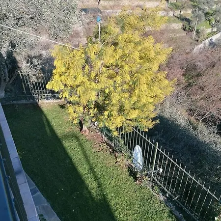Stupendo Tortuga Rapallo